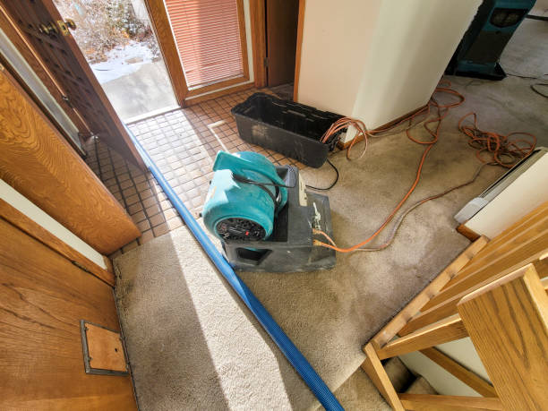 Best Flood damage cleanup  in Edwardsburg, MI