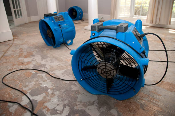 Best Basement water damage restoration  in Edwardsburg, MI
