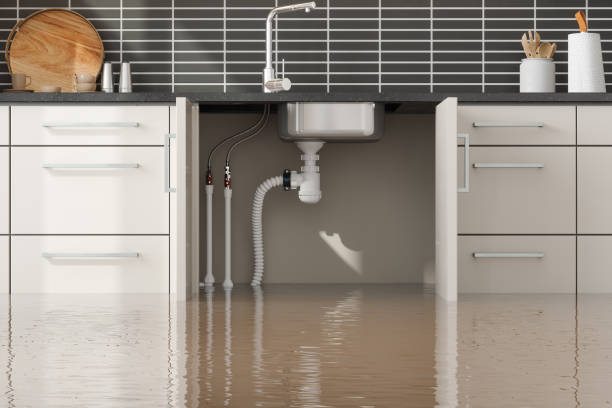  Edwardsburg, MI Water damage restoration Pros