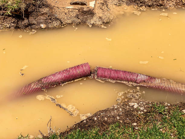 Best Carpet water damage restoration  in Edwardsburg, MI