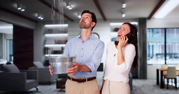 Best Local water damage restoration  in Edwardsburg, MI
